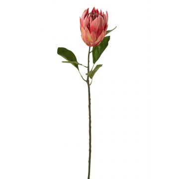 Protea branche plastique rouge