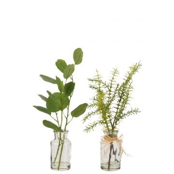 Eucalyptus/branches dans vase verre transparent/plastique vert assortiment de 2