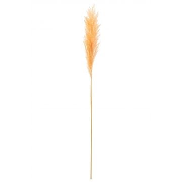 Branche plume pampas orange clair