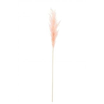Branche plume pampas rose clair
