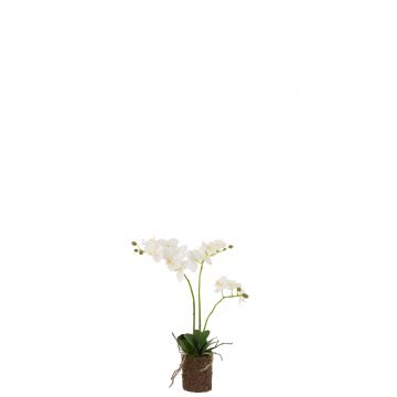 Orchidee en terre plastique blanc/vert medium
