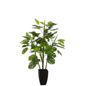 Philodendron en pot plastique vert large