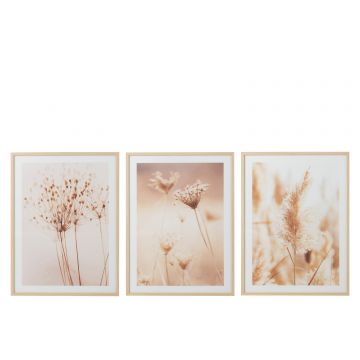 Cadre fleurs nature mdf/verre beige/blanc assortiment de 3