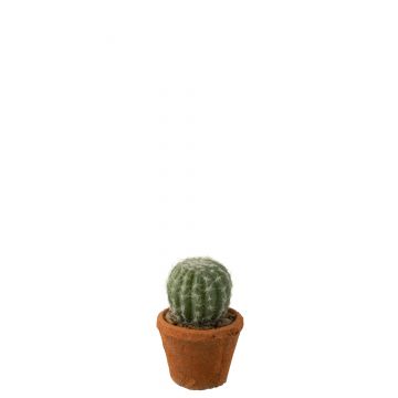 Cactus rond en pot plastique vert