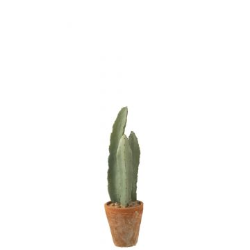 Cactus 3 parties en pot plastique vert small