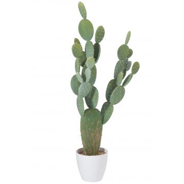 Cactus + pot plastique vert/melamine blanc xl