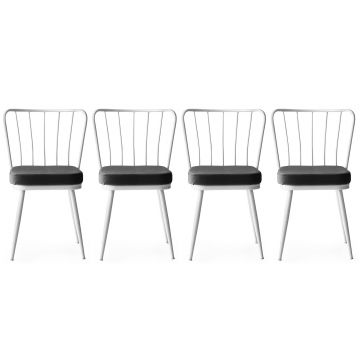 Kieran Chair Set | 4 Pieces | 100% Metal Frame | Velvet Fabric Seat