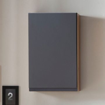 Varese armoire suspendue | 40 x 20 x 64 cm | Gris