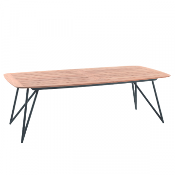 Table de jardin Talinn 250x110cm acier galvanisé et teck - naturel/noir
