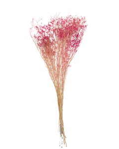 Bouquet gypsophile seche fuchsia