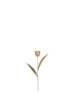 Tulipe metal or small